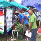 Taro tasting attracts many in Solomon Islands