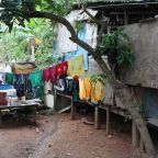 West Papuan refugees in PNG urged to register