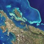 Menajamkan kembali “tombak” MSG