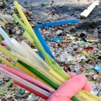 Vanuatu walks the talk – and becomes first country to ban plastic straws