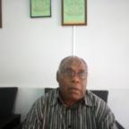 Chief calls for custom governance system implementation