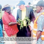 More time needed to verify referendum roll, says official