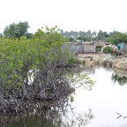 Dua negara Kepulauan Pasifik di garis depan dampak perubahan iklim