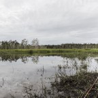 How land grabbers weaponise indigenous ritual against Papuans