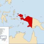 Sixteen bodies recovered in aftermath of Papua massacre