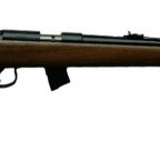 Bougainvillean remanded for possessing firearm, live rounds