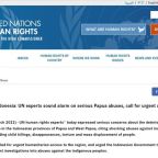 Indonesia: UN experts sound alarm on serious Papua abuses, call for urgent aid