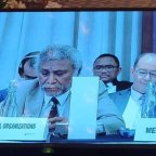 MSG SECRETARIAT REITERATES SUPPORT FOR FLNKS AT C-24